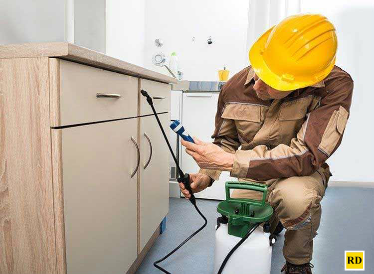 default-residential-pest-control-services-302